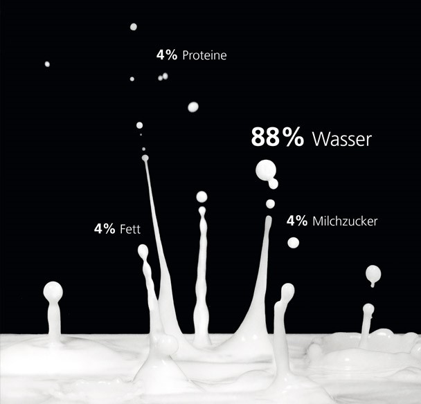 Bestandteile der Milch: 88 % Wasser, 4 % Proteine, 4 % Milchzucker, 4 % Fett