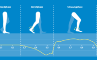 ZERO SPEED MEASUREMENT | In order to recognize when the foot is stationary during each step and the speed is zero, one must know the different gait phases. To do this, a normal forward step was broken down into four gait phases: Stance phase, roll phase, swing phase, load response. The subdivision of gait phases is done by a classification algorithm which uses different sensor signals of the foot device. The most descriptive signal for gait phase classification is the rotational speed of the foot in the lateral plane