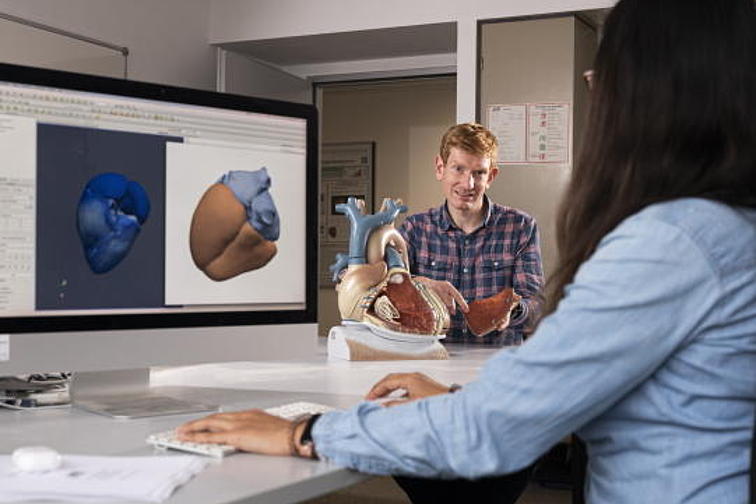 Das Forscherteam der Arbeitsgruppe Herzmodellierung von Dr. Axel Loewe erstellt Computermodelle des menschlichen Herzens.