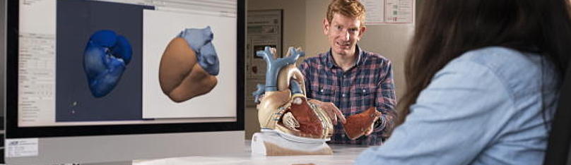 The research team of Ph. D. Axel Loewe's heart modeling research group creates computer models of the human heart.