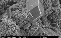 Electron micrograph of a P-recycled product
