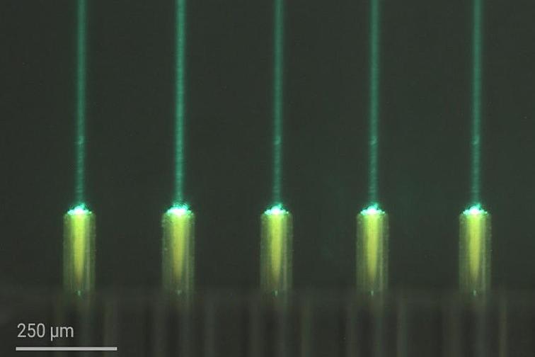 An optical microscopy of green light focused in parallel light beams can be seen.