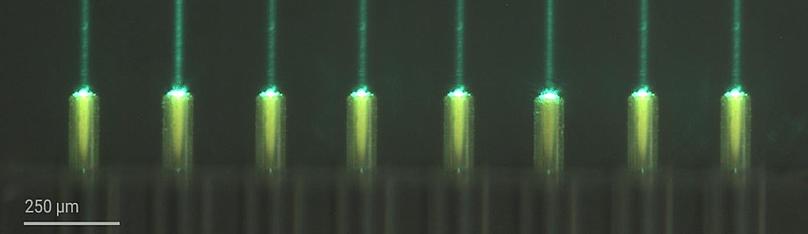 Zu sehen ist eine optische Mikroskopie von grünem Licht, das in parallelen Lichtstrahlen gebündelt wird.