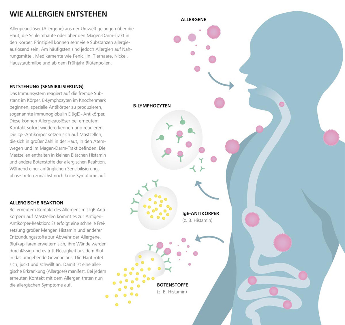 wie-zeigt-sich-eine-allergie-allergie-symptome-ursachen-und